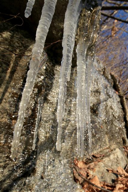 매서운 한파로 전국의 아침 최저기온이 영하로 떨어진 19일 강원도 강릉시 대관령 옛길 구간 도로변 절벽에 고드름이 맺혀있다. 2019.11.19 뉴스1