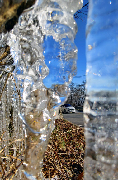 강원 전역에 한파주의보가 내려진 19일 오전 평창과 강릉을 연결하는 대관령 옛길에 밤사이 얼어붙은 고드름이 달려 있다. 2019.11.19  연합뉴스