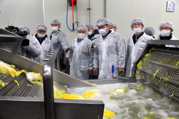 이낙연 국무총리가 23일 강원도 평창군 대관령 원예농업협동조합을 찾아 배추공정 과정을 지켜보고 있다. 2019.11.23  연합뉴스