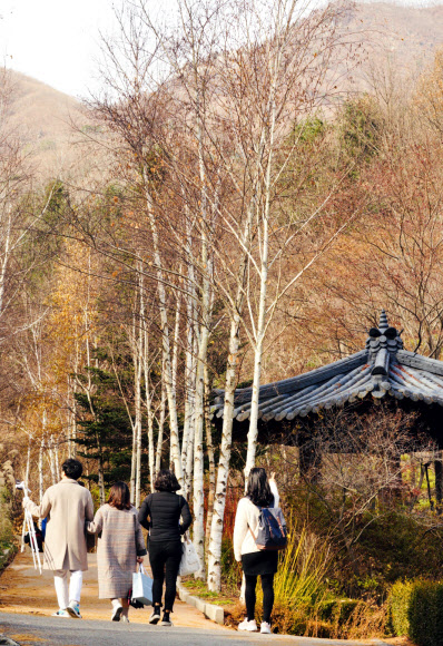 끝자락 가을 정취