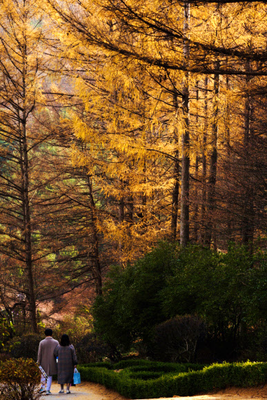 끝자락 가을 정취