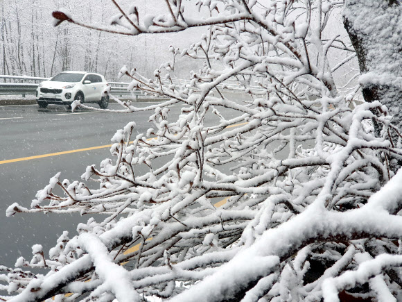 겨울로 접어든 한계령