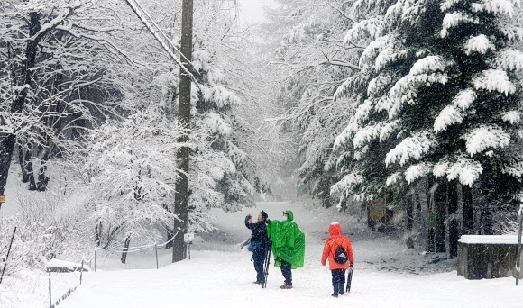 폭설 내린 대관령