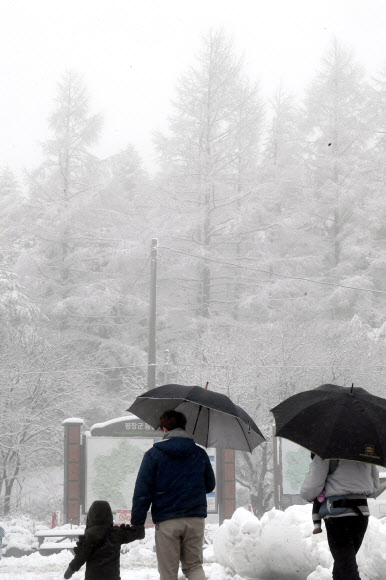 대관령은 겨울왕국