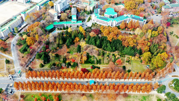 아침·저녁의 쌀쌀한 기운이 겨울이 오는 것을 실감케 하는 26일 오전 광주 북구 하늘에서 바라본 전남대학교 교정에 가을의 흔적이 남아 있다. 2019.11.26  연합뉴스