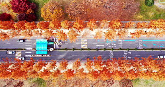 아침·저녁의 쌀쌀한 기운이 겨울이 오는 것을 실감케 하는 26일 오전 광주 북구 하늘에서 바라본 전남대학교 교정에 가을의 흔적이 남아 있다. 2019.11.26  연합뉴스