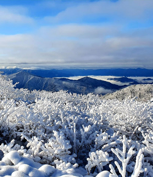 26일 강원 속초시 설악산국립공원 대청봉 일원에 상고대가활짝 펴 겨울 풍경을 연출하고 있다. 2019.11.26  설악산국립공원 제공
