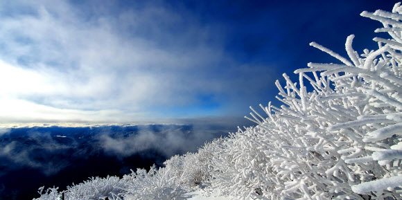 26일 강원 속초시 설악산국립공원 대청봉 일원에 상고대가 활짝 펴 겨울 풍경을 연출하고 있다. 2019.11.26  설악산국립공원 제공