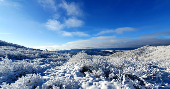 26일 강원 속초시 설악산국립공원 대청봉 일원에 상고대가 활짝 펴 겨울 풍경을 연출하고 있다. 2019.11.26  설악산국립공원 제공