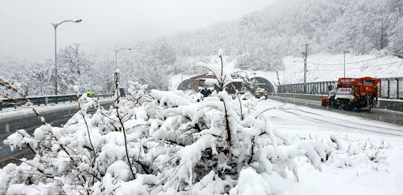 미시령 폭설…분주한 제설차량