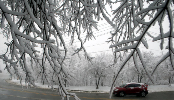 눈 내리는 대관령