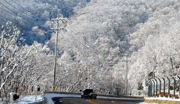 환상적인 대관령 눈꽃