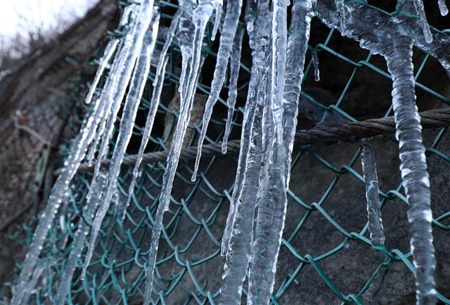 맑고 맑은 고드름