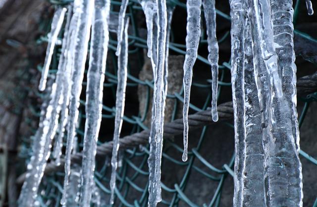 꽁꽁 언 고드름