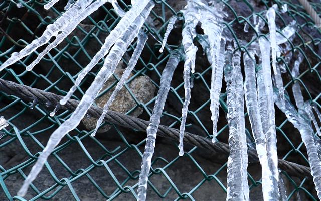 대관령에 맺힌 고드름