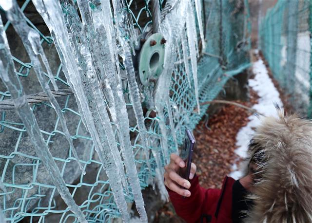 고드름을 내 손에