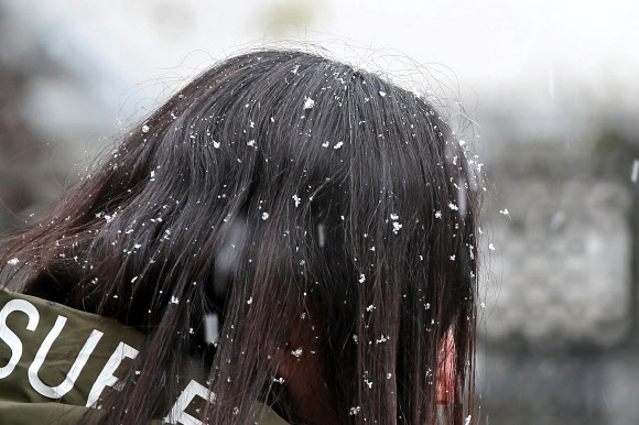 ‘머리에 쌓인 눈’