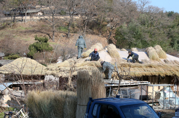 4일 경북 경주시 강동면에 있는 유네스코 세계유산에 등재된 양동마을에서 작업자들이 초가지붕 이엉을 교체하고 있다. 2019.12.4  연합뉴스