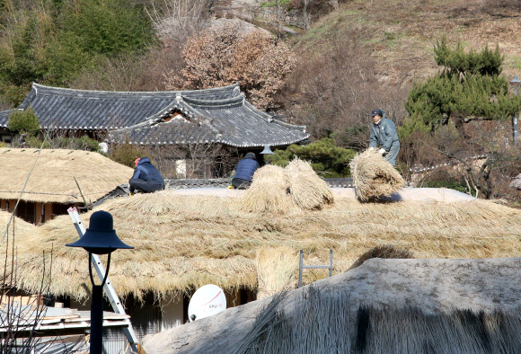 4일 경북 경주시 강동면에 있는 유네스코 세계유산에 등재된 양동마을에서 작업자들이 초가지붕 이엉을 교체하고 있다. 2019.12.4  연합뉴스