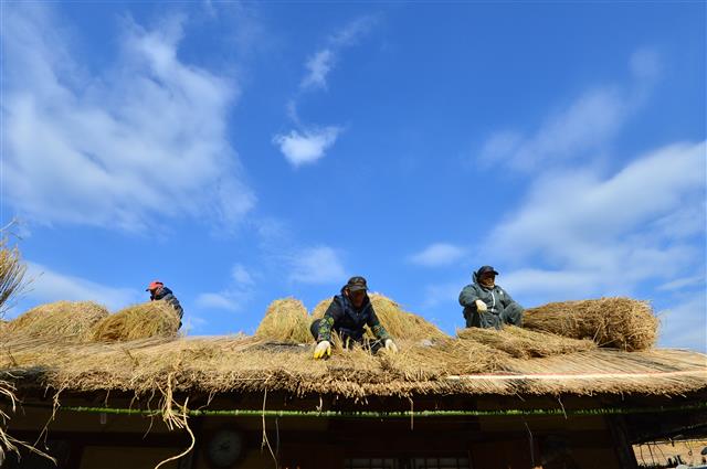 4일 경북 경주시 양동민속마을에서 초가지붕에 이엉 잇기 작업이 한창이다. 양동민속 마을에는 약 200여 채의 초가집 있으며 내년 1월까지 이엉 잇기 작업이 계속된다. 2019.12.4 뉴스1