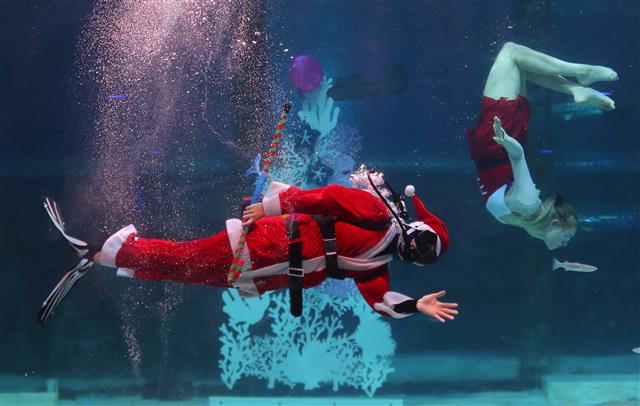 4일 서울 강남구 코엑스 아쿠아리움에서 산타로 변신한 다이버들이 멋진 크리스마스 특별 수중공연을 선보이고 있다. 2019.12.4 뉴스1