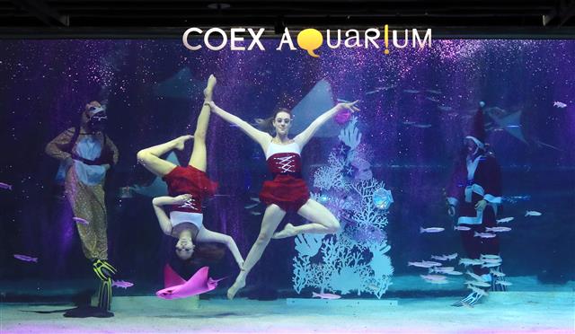 4일 서울 강남구 코엑스 아쿠아리움에서 산타와 루돌프로 변신한 다이버들이 멋진 크리스마스 특별 수중공연을 선보이고 있다. 2019.12.4 뉴스1