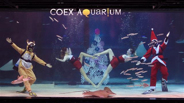 4일 서울 강남구 코엑스 아쿠아리움에서 산타와 루돌프로 변신한 다이버들이 멋진 크리스마스 특별 수중공연을 선보이고 있다. 2019.12.4 뉴스1