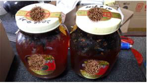 ‘식용 불가’ 말벌꿀 불법 제조·판매업자 적발