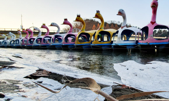 최강 한파에 발 묶인 오리배
