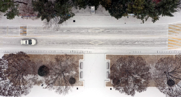 눈 쌓인 캠퍼스 도로