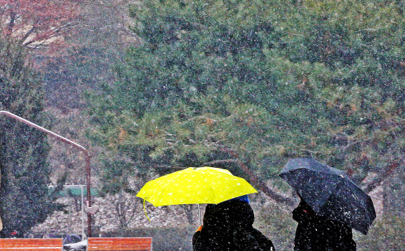 눈 내리는 캠퍼스