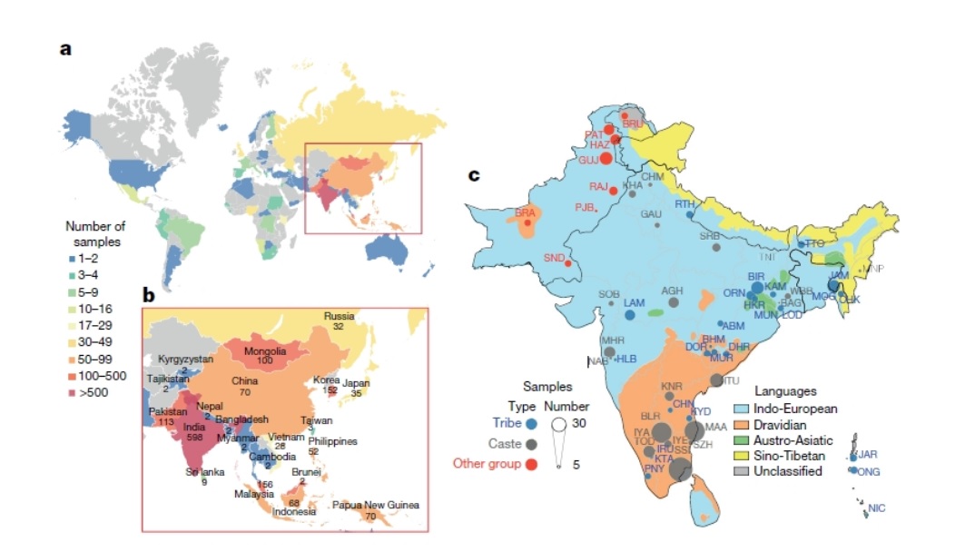 아시아에 거주하는 142개 종족의 유전체. 분당서울대학교병원 제공