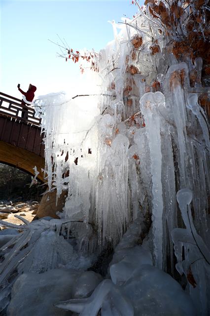 얼음왕국으로 변한 대관령