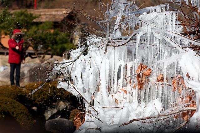 강추위에 대관령 얼음 꽁꽁