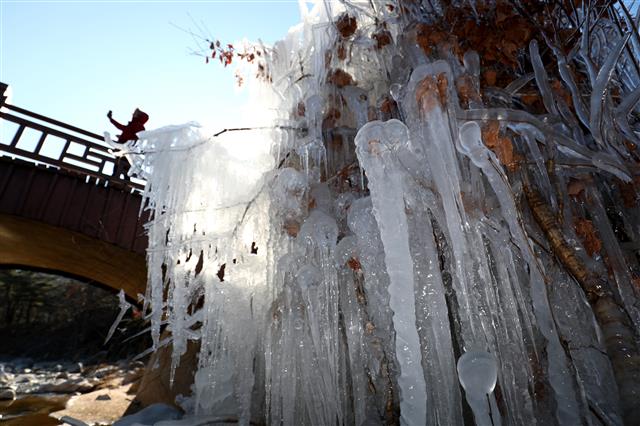 겨울왕국으로 변한 대관령