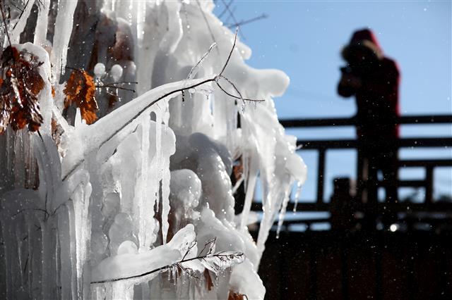 겨울이 빚은 대관령 얼음풍경