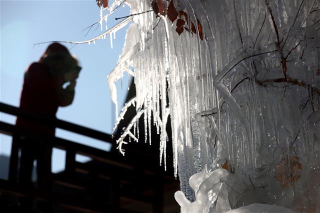 추위가 빚어낸 얼음조각