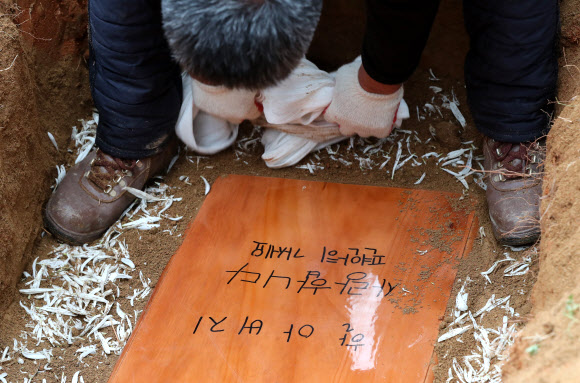 누군가에겐 할아버지였던 민주통일운동 지도자