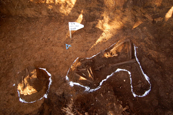 국방부, 138번째 국군 신원 확인