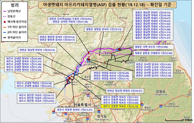 야생 멧돼지 아프리카돼지열병 검출 현황. 환경부 제공