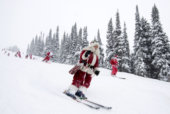 산타 클로스 복장을 한 사람들이 20일(현지시간) 캐나다 브리티시 컬럼비아 휘슬러에서 산타 스키를 타고 있다. AP 연합뉴스