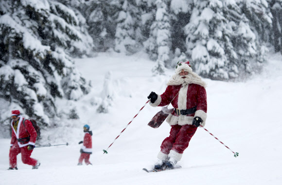 산타 클로스 복장을 한 사람들이 20일(현지시간) 캐나다 브리티시 컬럼비아 휘슬러에서 산타 스키를 타고 있다. AP 연합뉴스