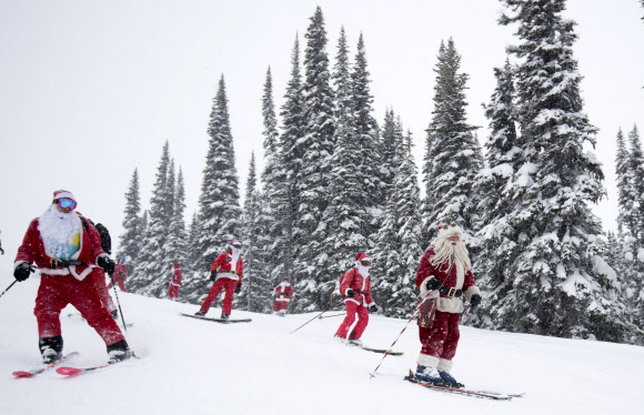 산타 클로스 복장을 한 사람들이 20일(현지시간) 캐나다 브리티시 컬럼비아 휘슬러에서 산타 스키를 타고 있다. AP 연합뉴스