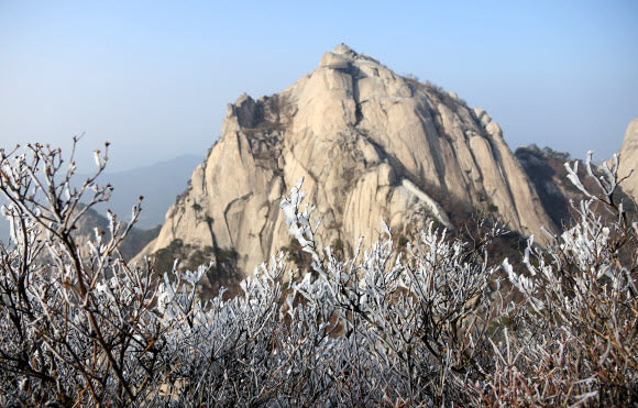 북한산에 핀 상고대