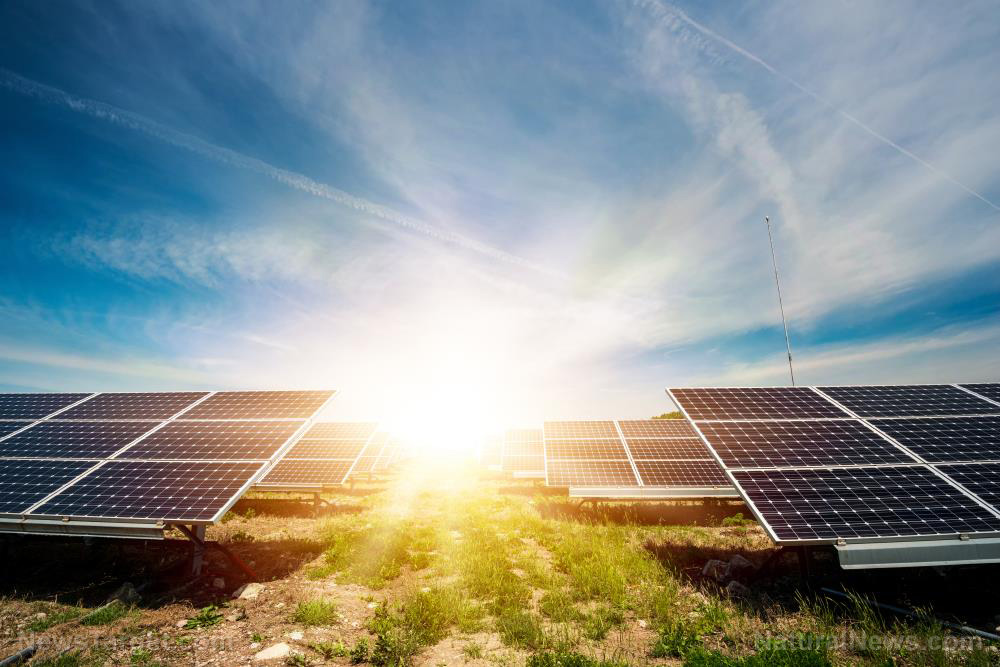 태양광 이용 수소에너지 생산기술 개발