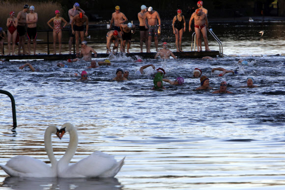 매년 열리는 하이드 파크 크리스마스 수영 참가자들이 25일(현지시간) 영국 런던의 하이드 파크에서 열린 ‘110미터 피터 팬컵 수영 경기(the 110 meter Peter Pan Cup swimming race)’에 참여하고 있다. AP 연합뉴스