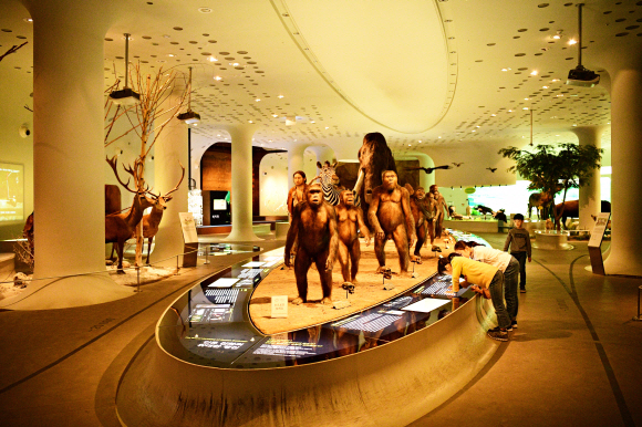 인류의 진화 과정을 생생하게 전시하고 있는 경기 연천 전곡선사박물관.<br>한국관광공사 제공