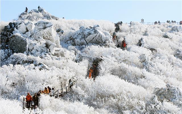 눈꽃 사이를 거닐며 만끽하는 겨울정취
