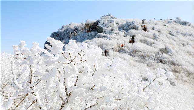 ‘눈꽃’ 피어난 무주 덕유산