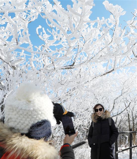 눈꽃을 배경삼아 ‘찰칵’